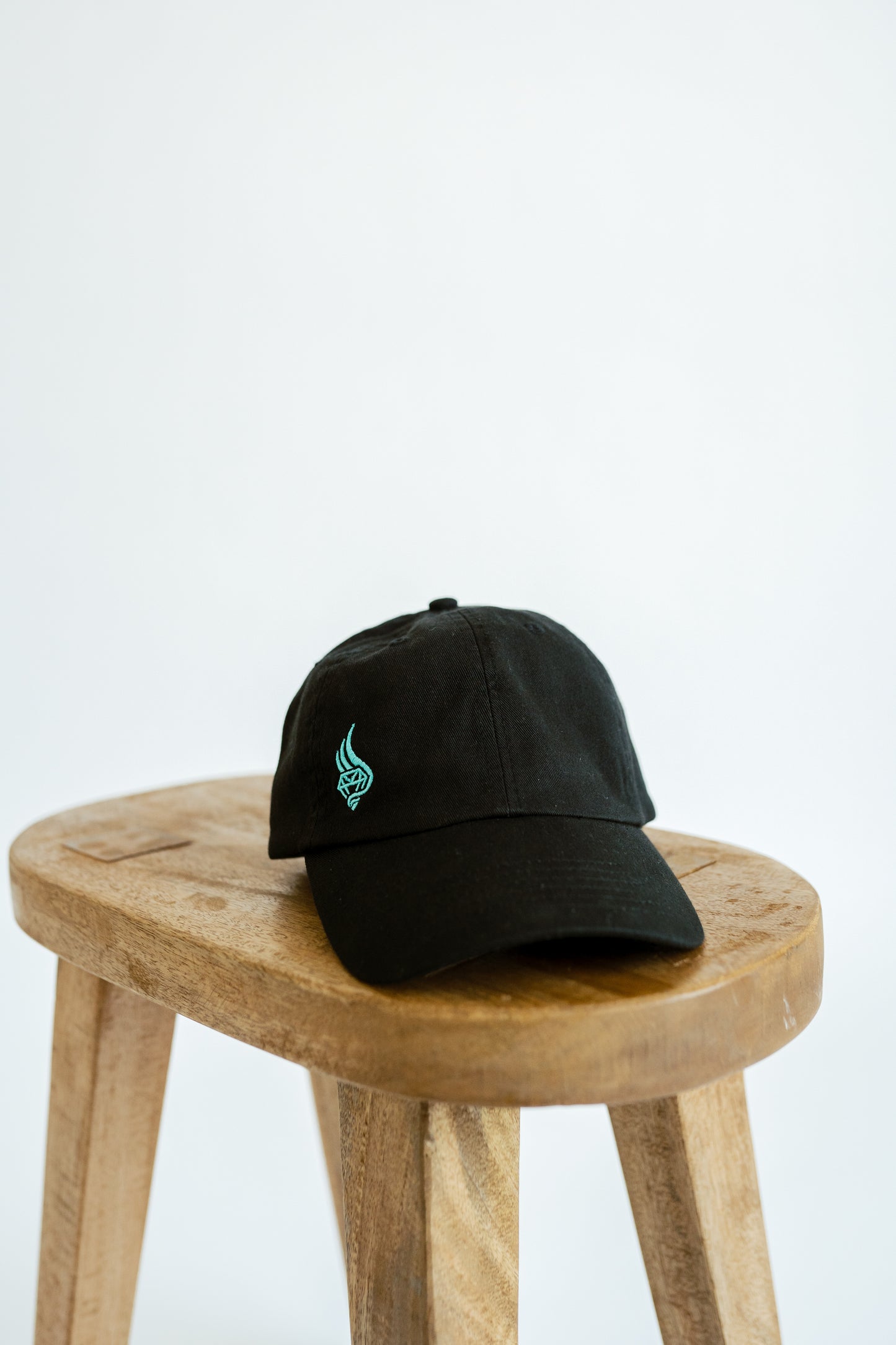 Teal Logo Hat
